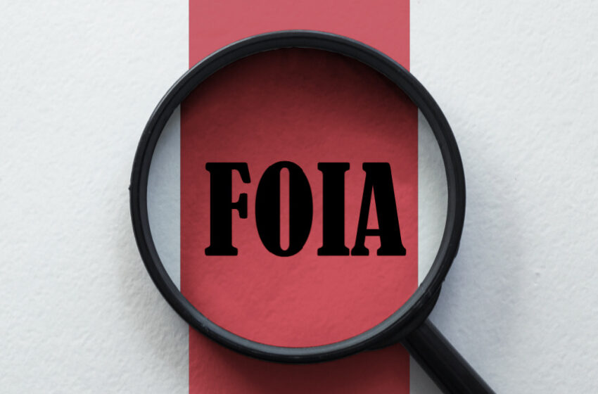  Lawsuits Prompt Immigration Agencies to Publish Critical Documents in Their FOIA Libraries