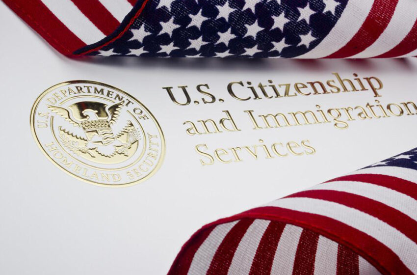  The Policy Decisions Embedded in the New USCIS Fee Schedule