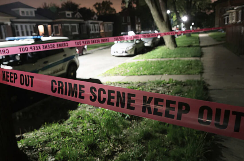  While Illegal Aliens Kill and Rape, Bogus Crime Comparisons Still Blunt Solutions