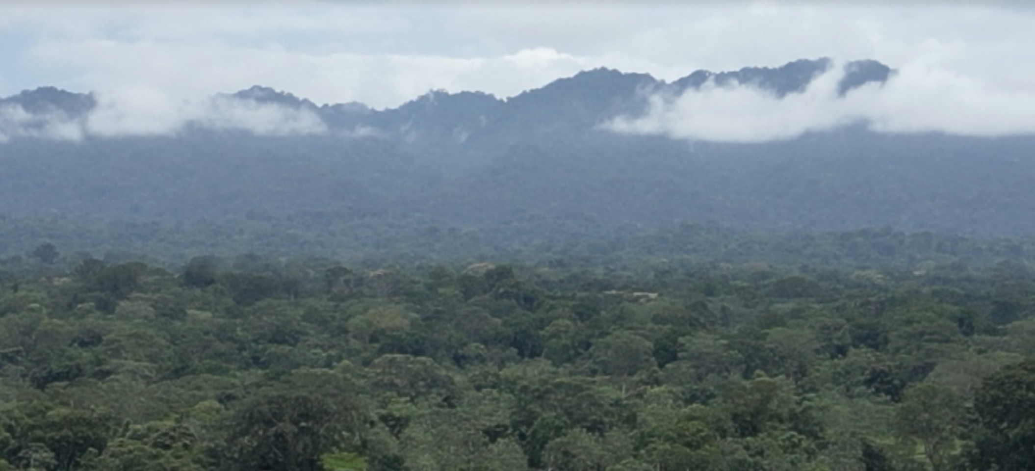 A view toward the Darien Gap from the air over Bajo Chiquito Panama