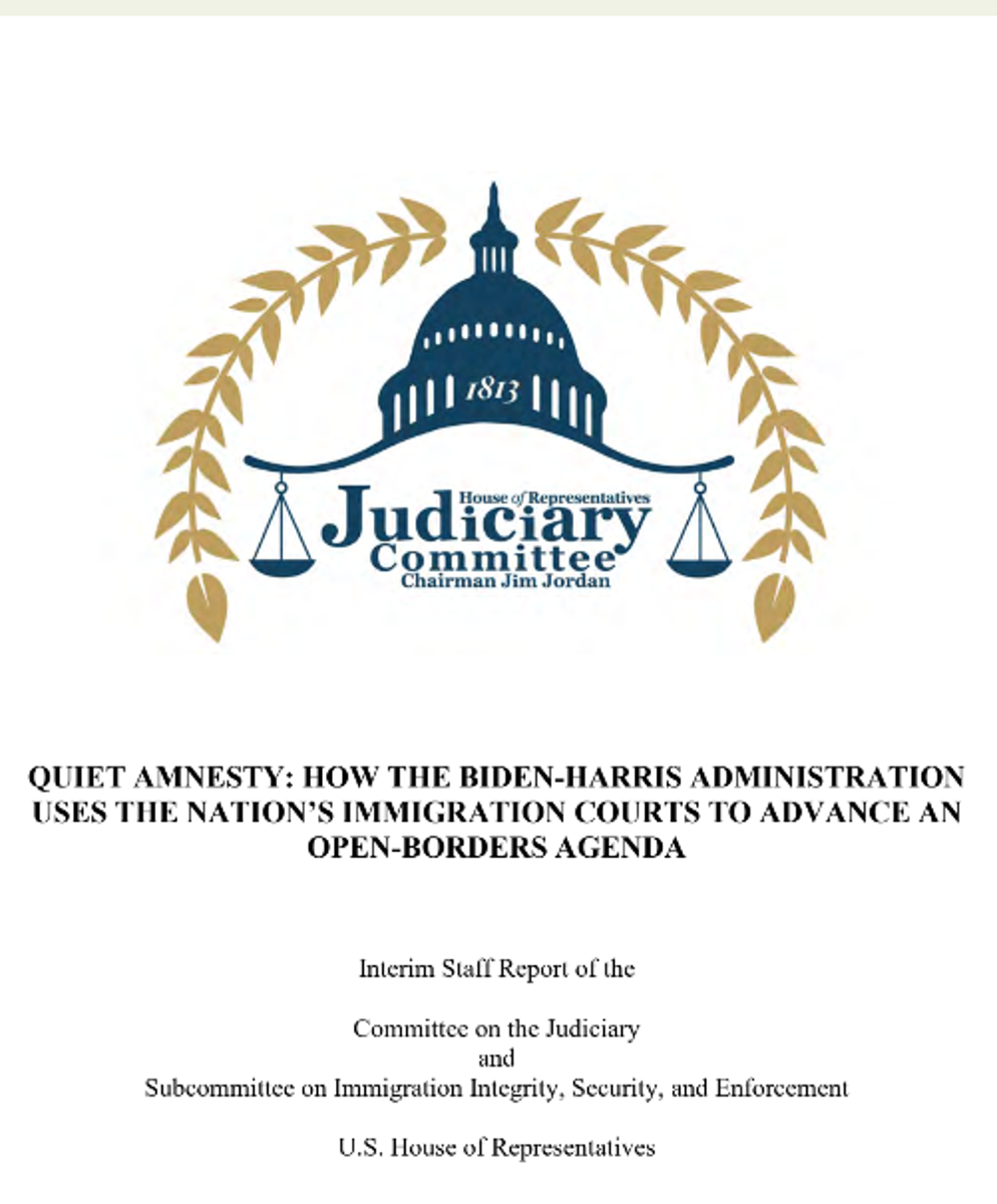 quiet amnesty report