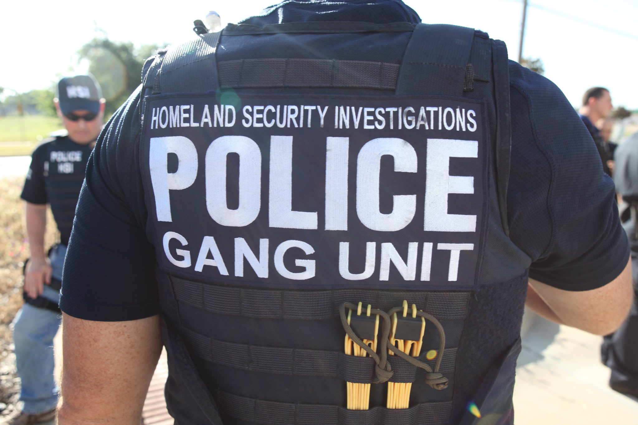 ICE gang unit