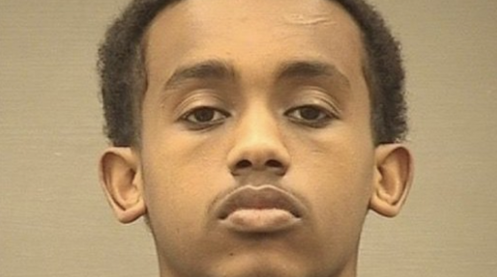 Hassan Ezzeldin Taha Mohamed Hassan