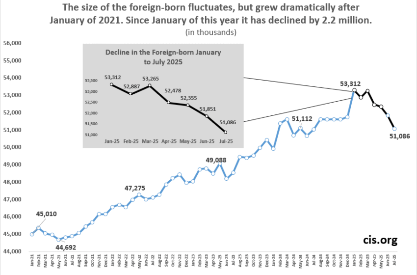  Overall Foreign-Born Population Down 2.2 Million January to July